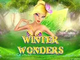 Winter Wonders DNT screenshot